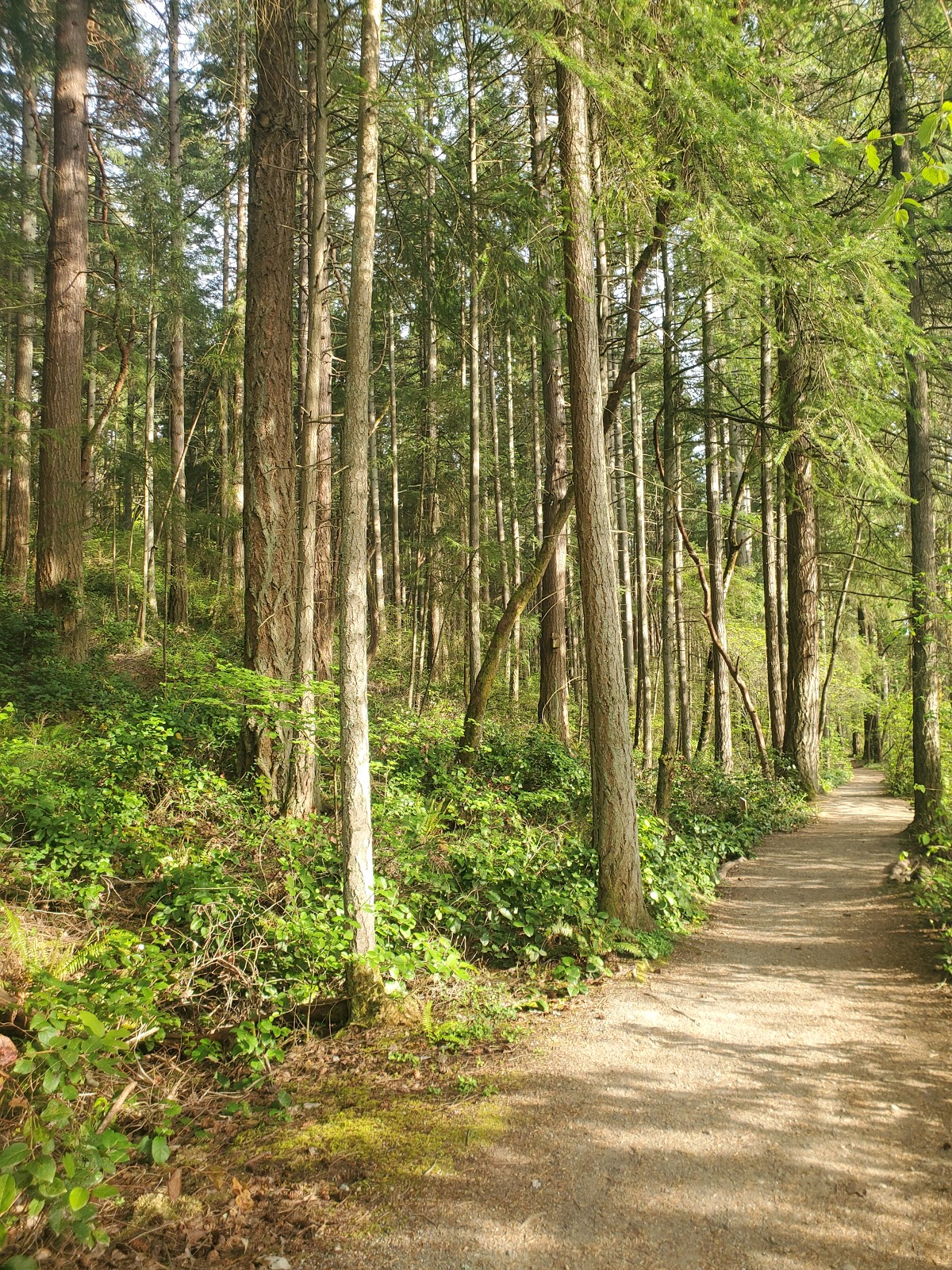 Tacoma Nature Center - Go Wandering