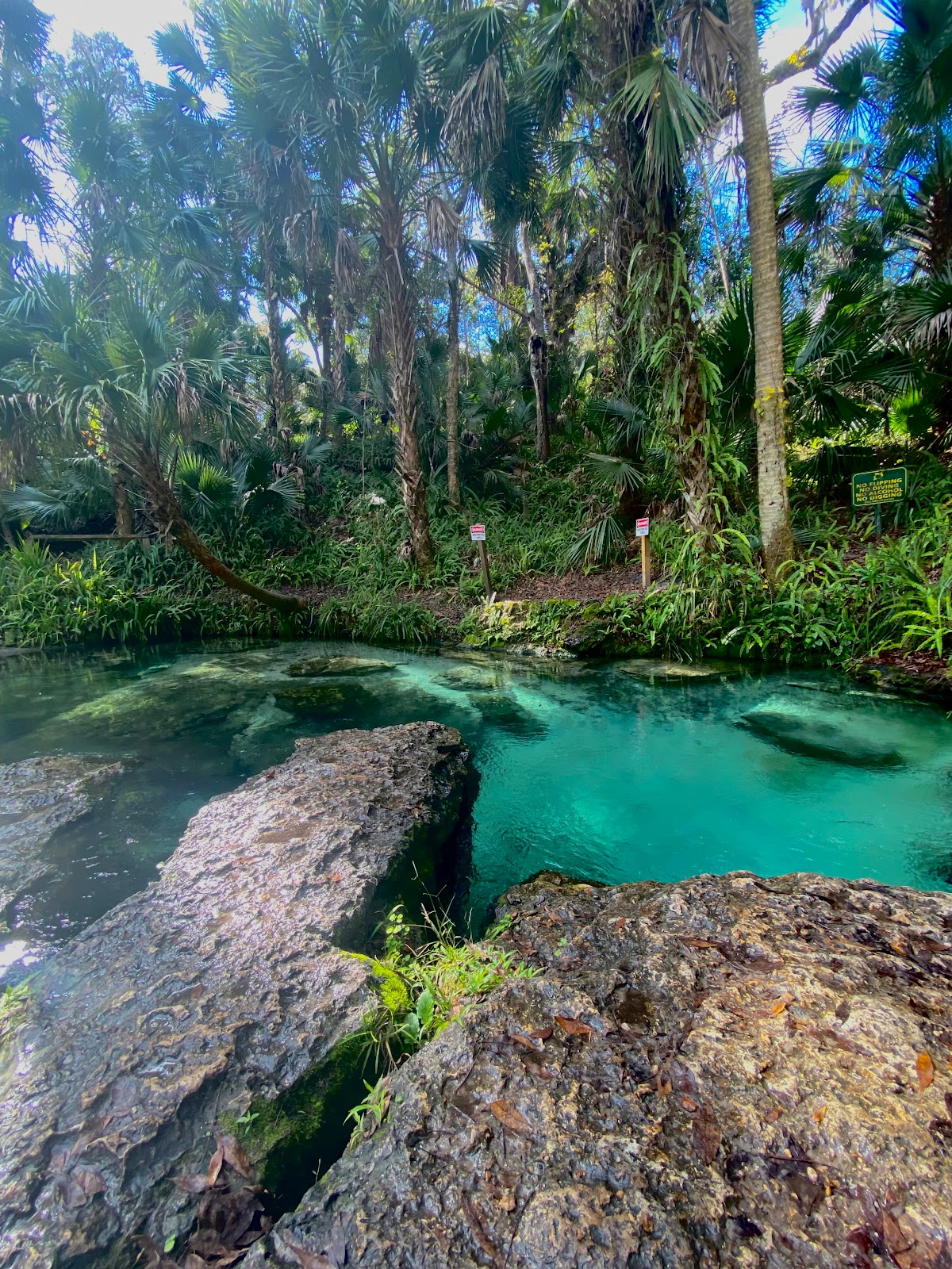 Rock Springs Kelly Park - Go Wandering