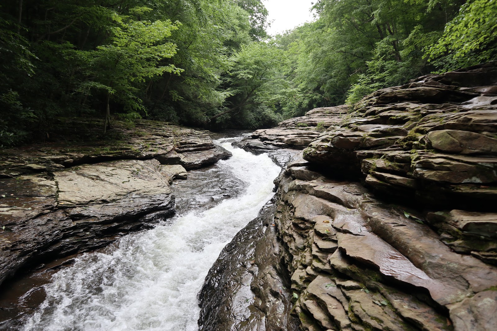 Ohiopyle State Park - Go Wandering