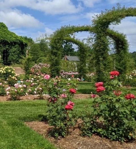 Elizabeth Park Rose Garden