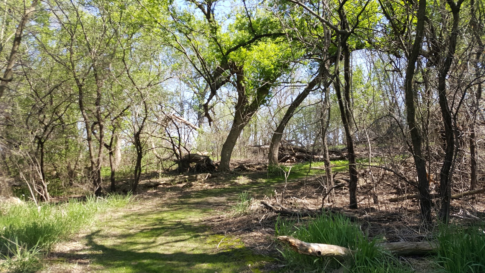 Lake herman state park