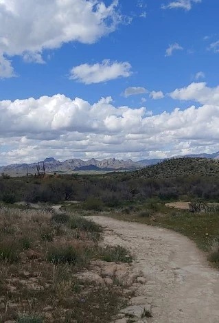 Picketpost Mountain Natural Area - Go Wandering