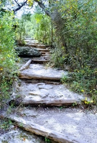 Hamilton Pool Preserve - Go Wandering