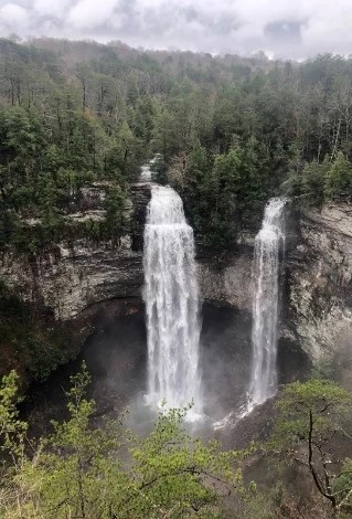 are dogs allowed at fall creek falls state park