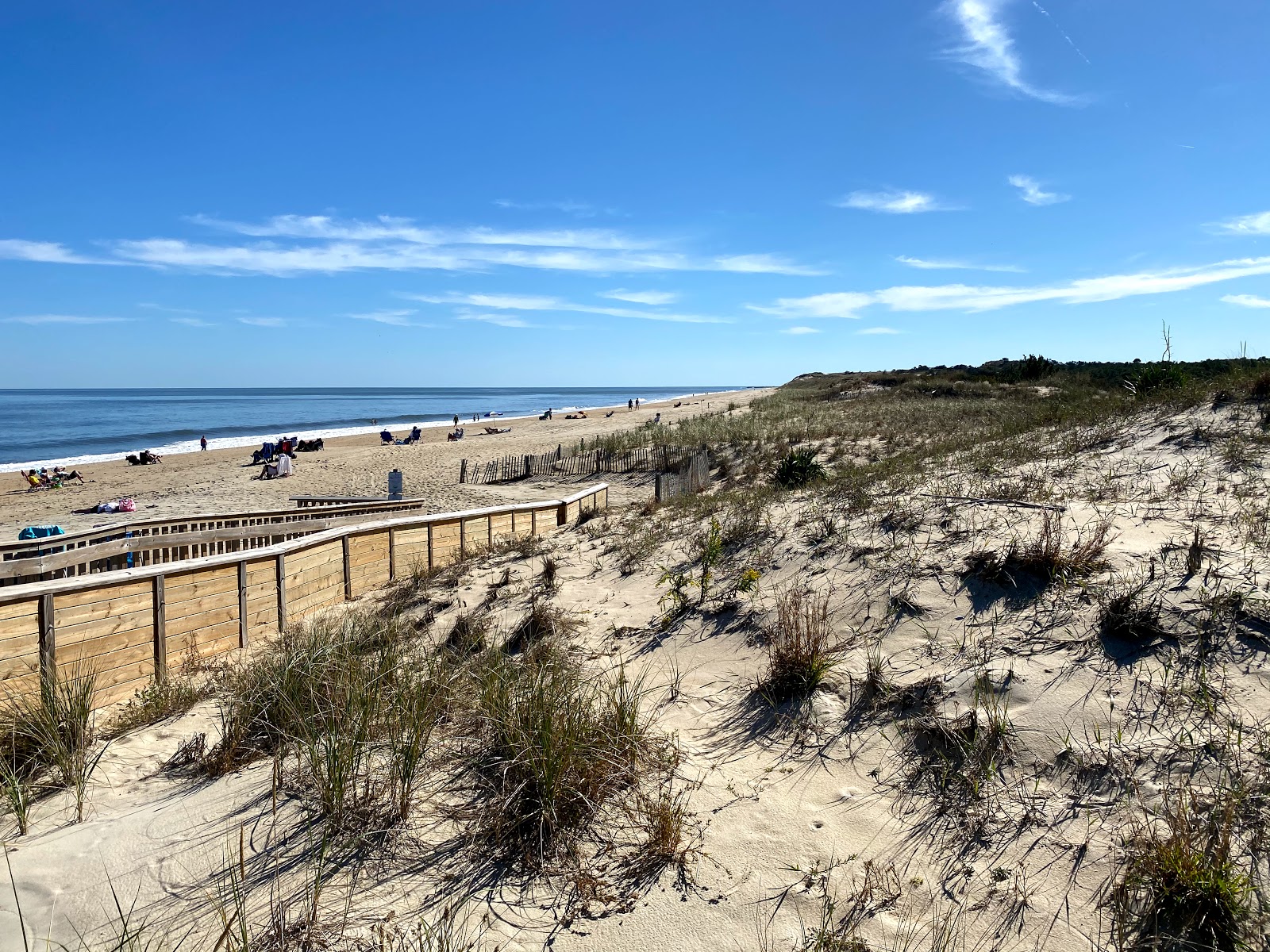 Cape Henlopen State Park Go Wandering