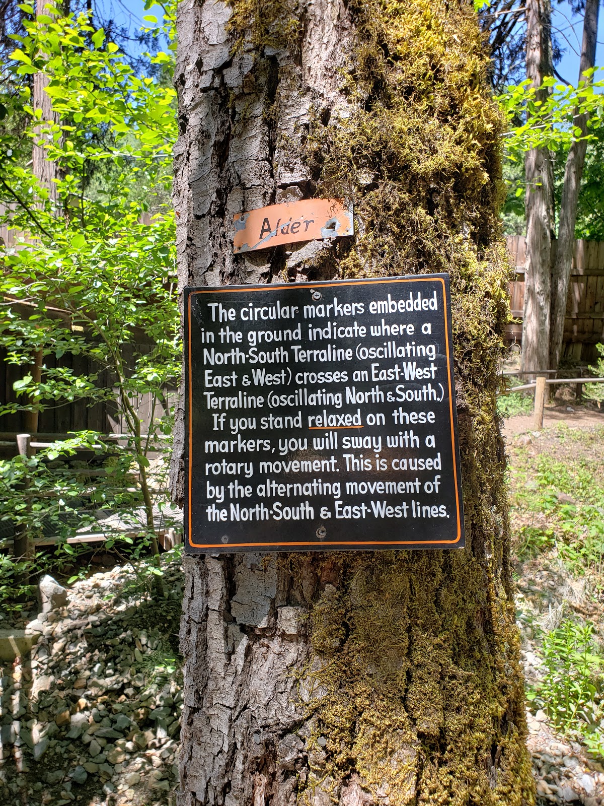 oregon vortex