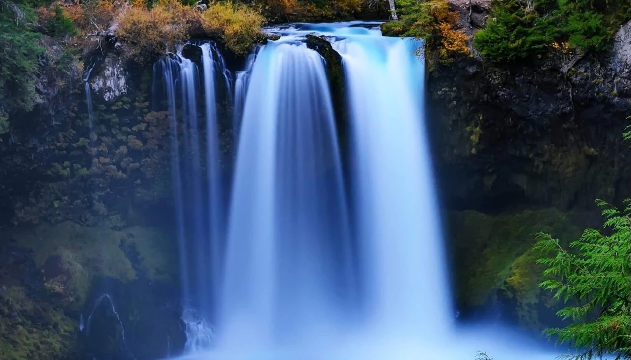 Willamette National Forest - Go Wandering