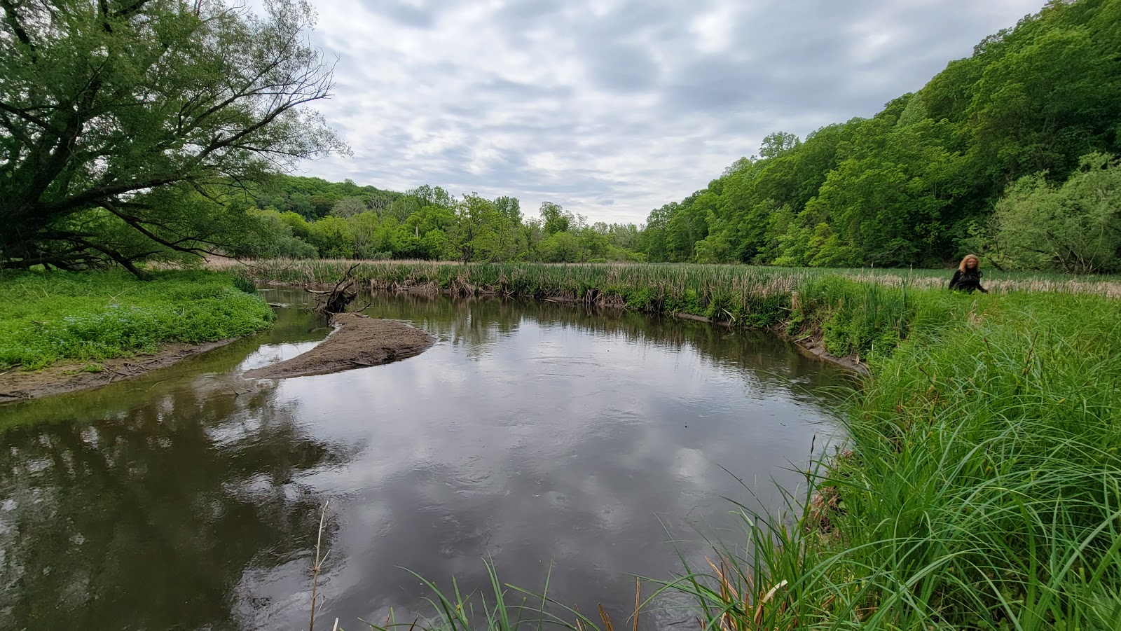 Lucien Morin Park - Go Wandering