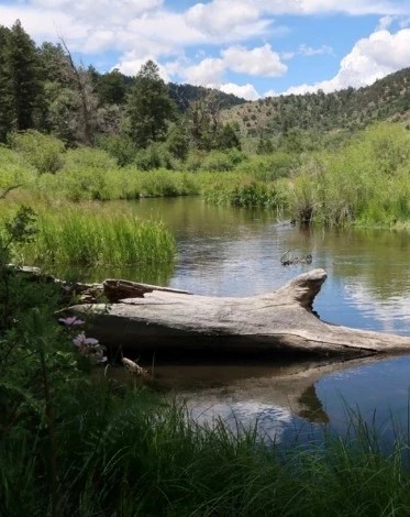 Cimarron Canyon State Park: Where the Wild West Meets Rugged Beauty