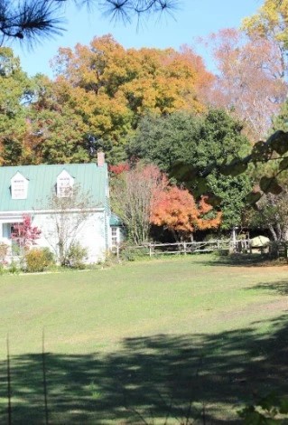 Piney Grove At Southall's Plantation - Go Wandering