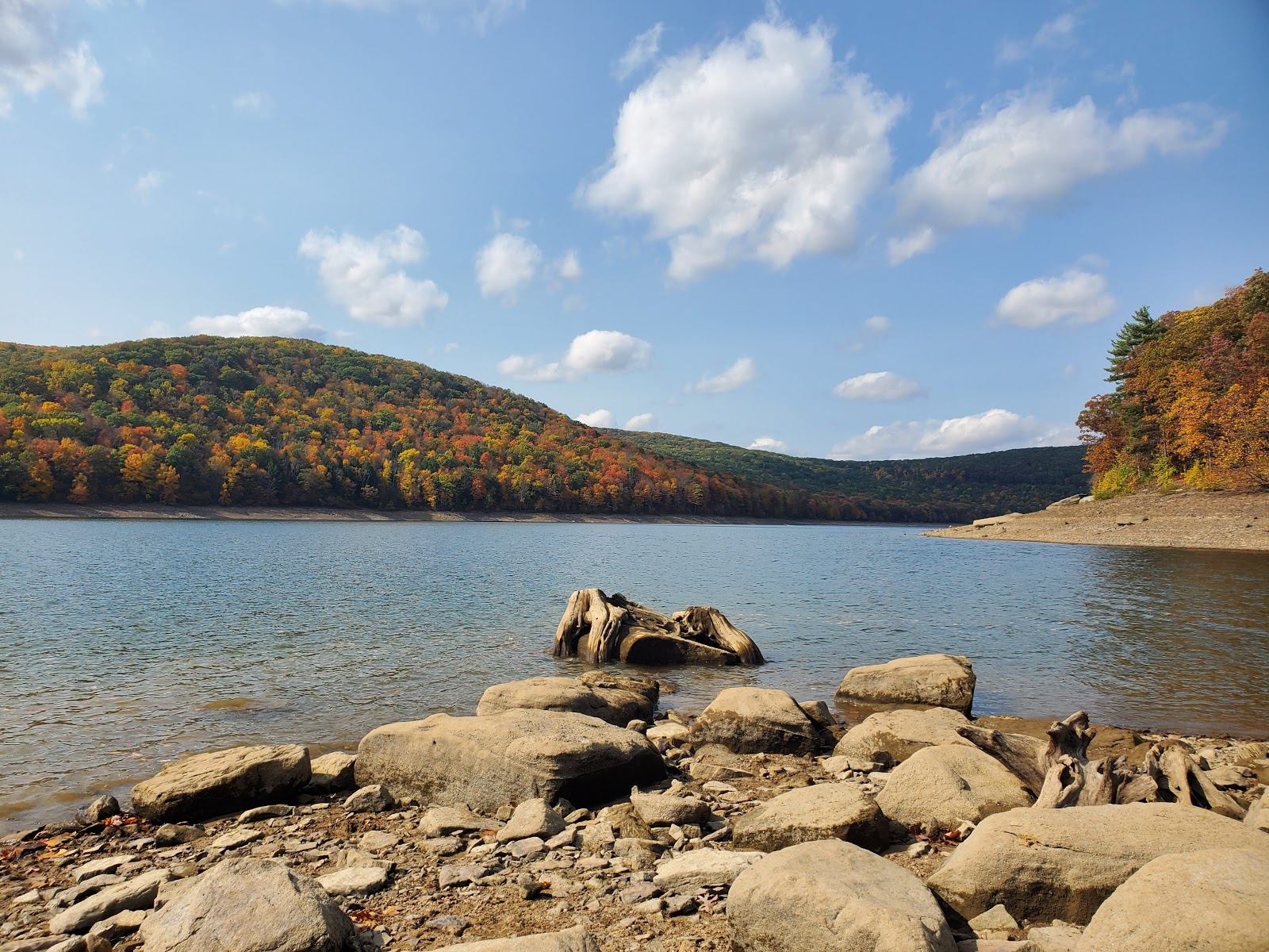 allegheny-national-forest-go-wandering