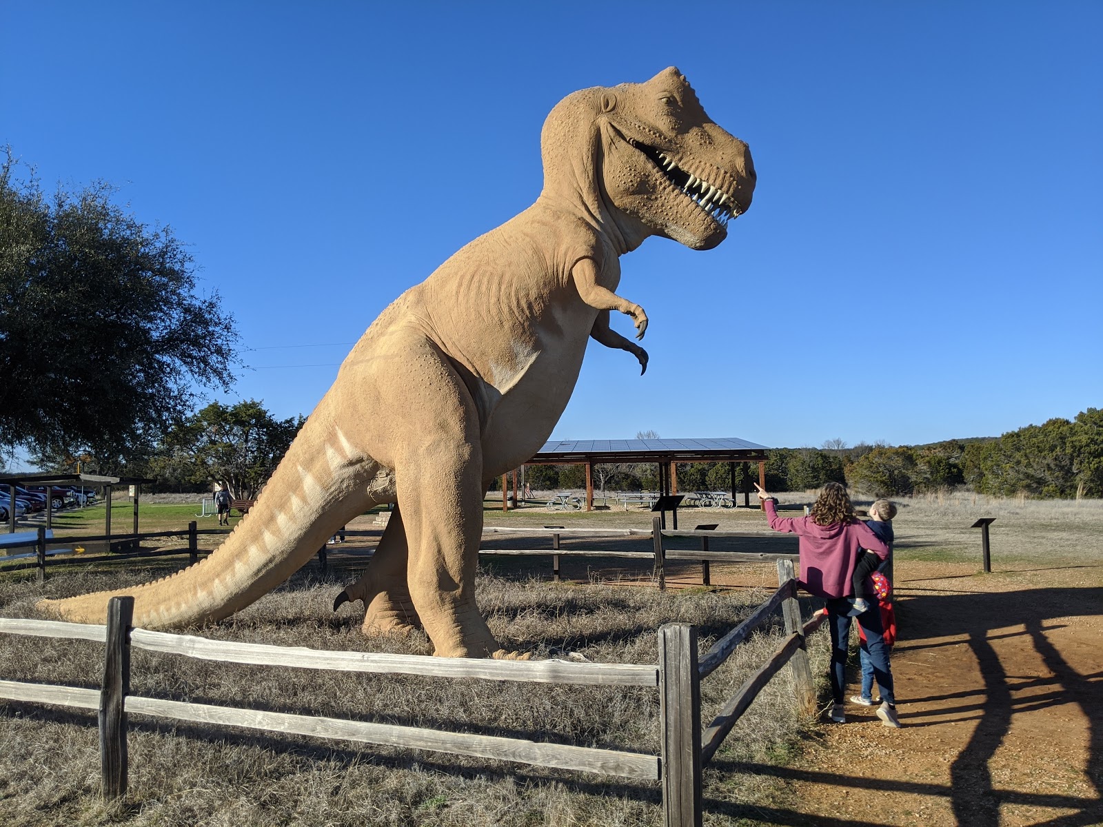 places to stay near dinosaur valley state park