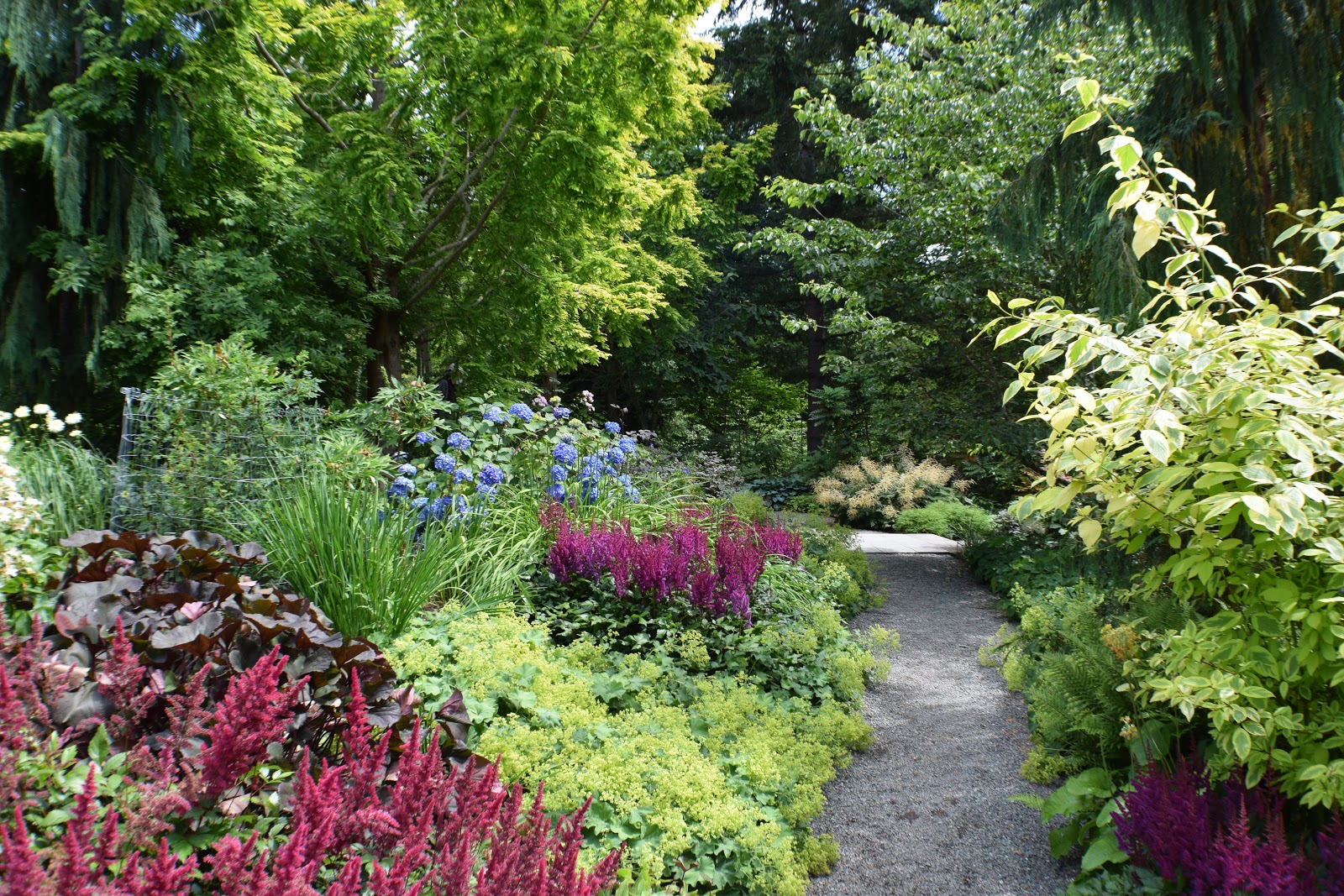 Bellevue Botanical Garden - Go Wandering