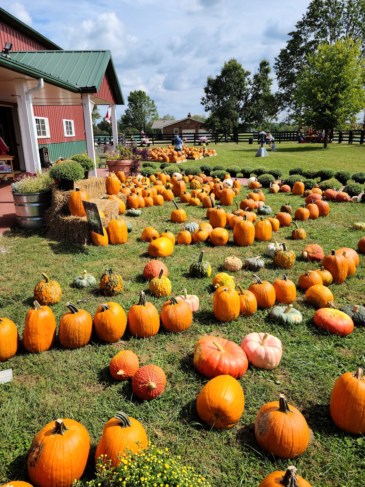 Eckert's Orchard - Go Wandering