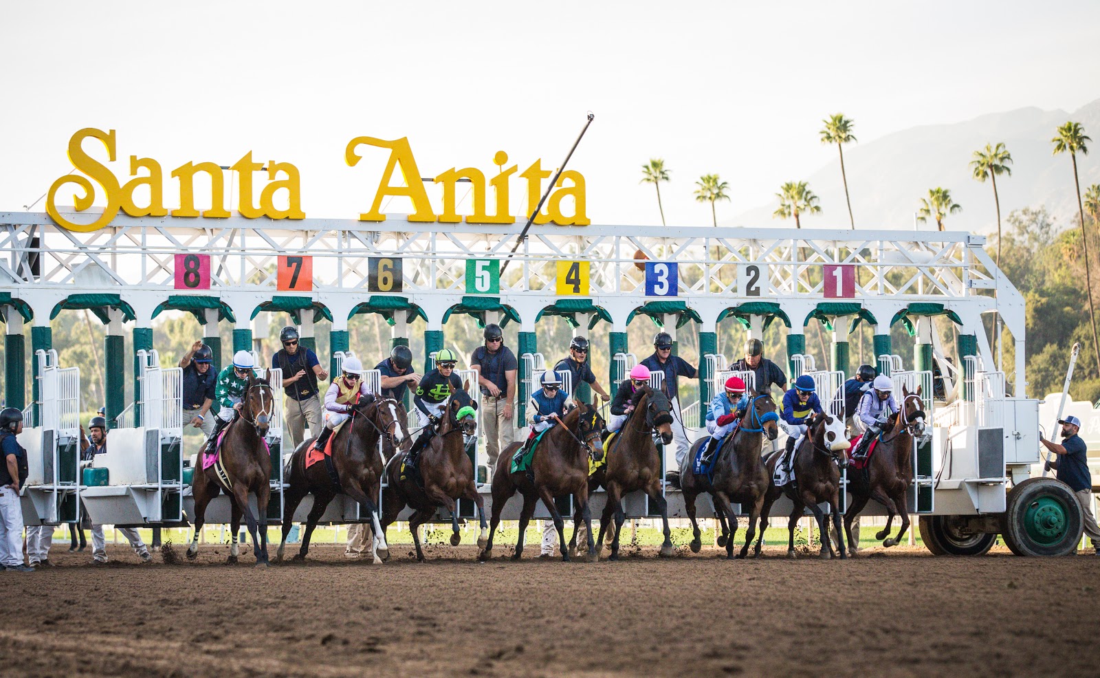 Santa Anita Park Go Wandering