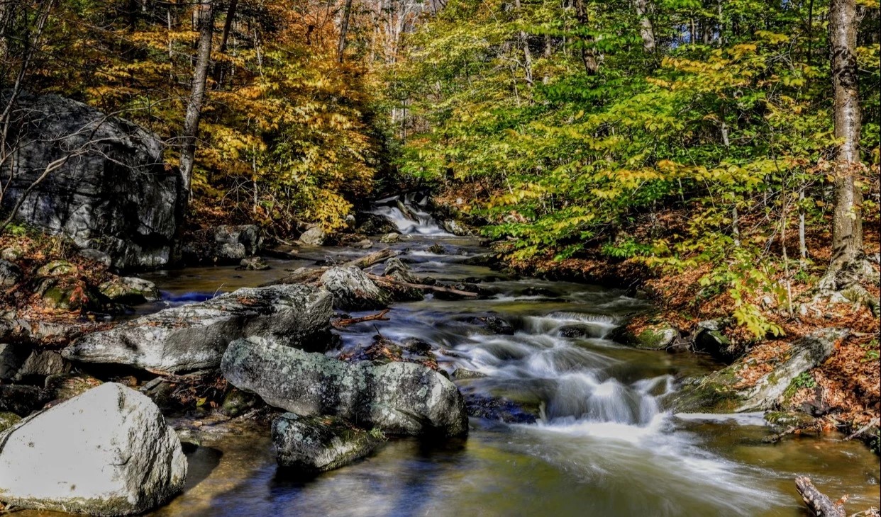 Escape To Nature’s Embrace: A Guide To Connecticut’s Macedonia Brook State Park