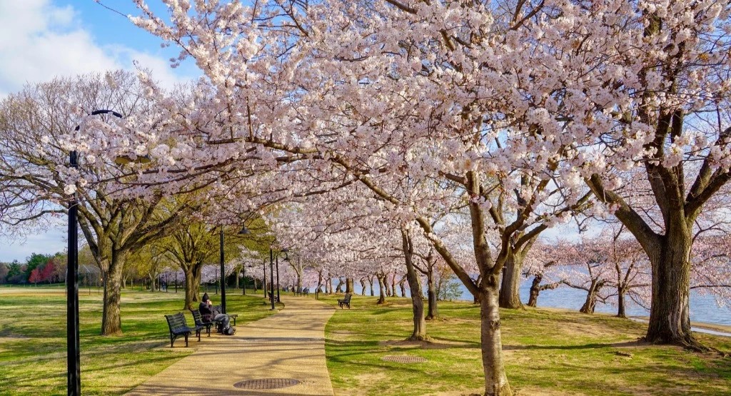 7 of the Best Springtime Destinations in the US