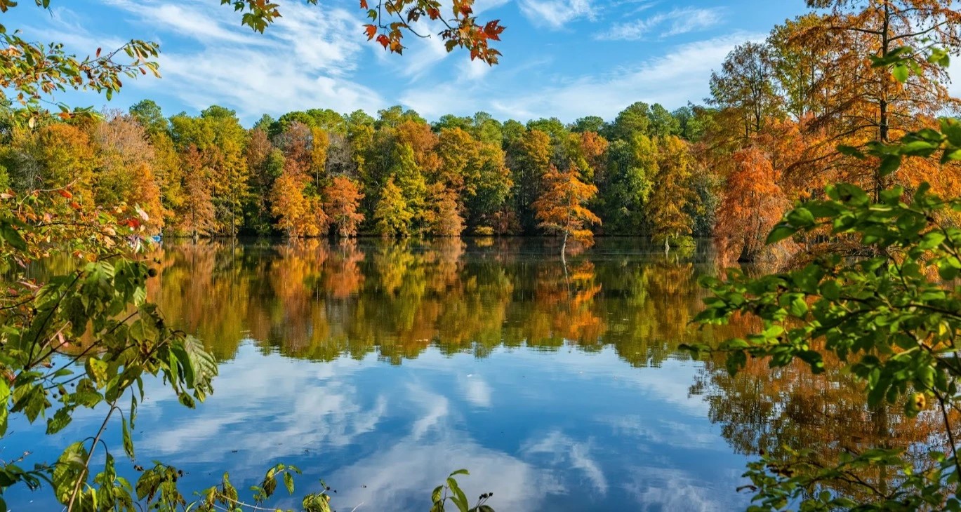 Trap Pond State Park - Go Wandering