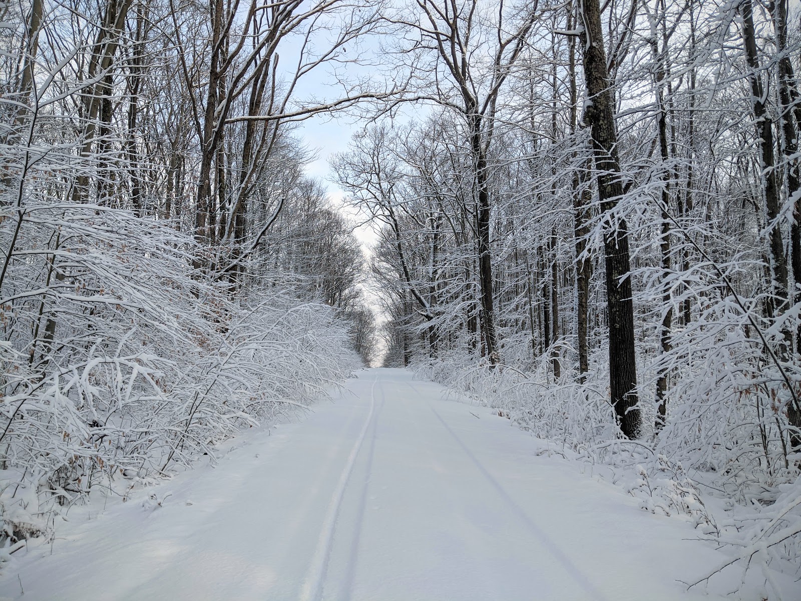 Allegheny National Forest - Go Wandering