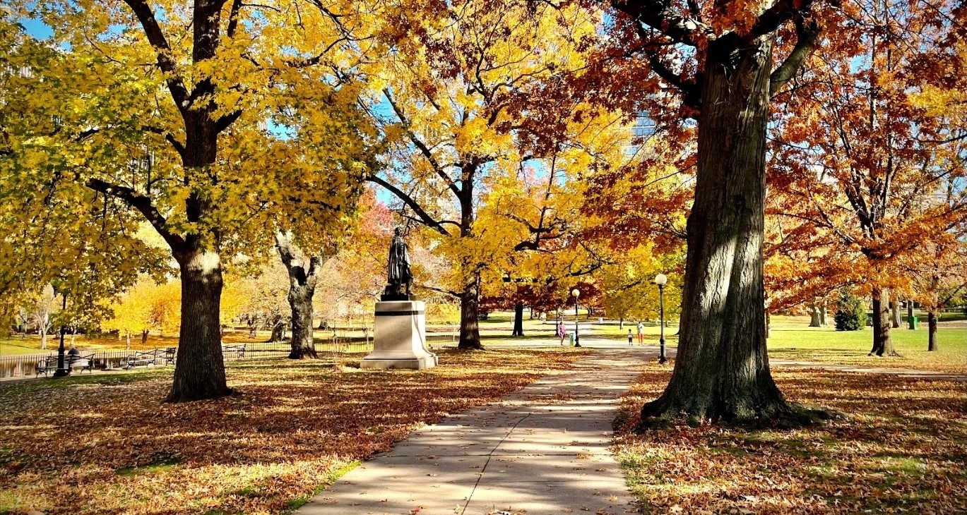 Bushnell Park - Go Wandering