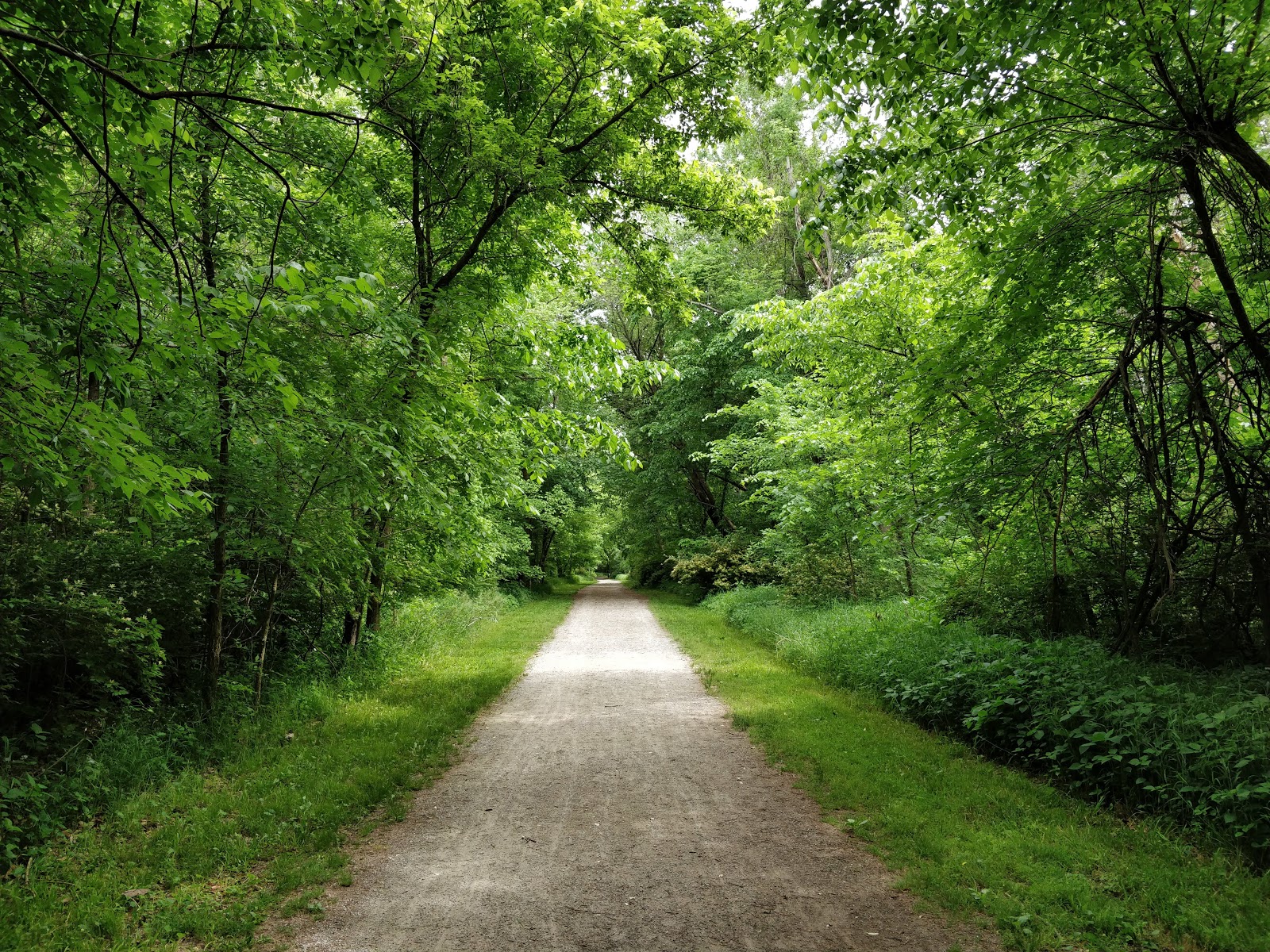 Grindstone Nature Area - Go Wandering