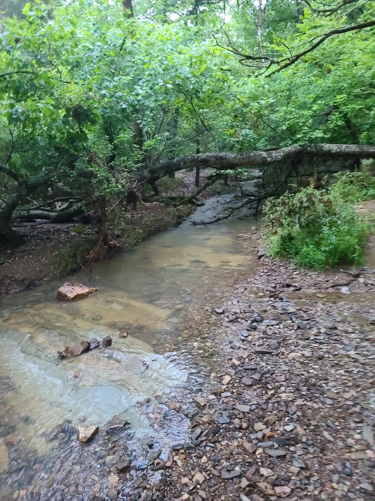 Beavers Bend State Park and Nature Center - Go Wandering