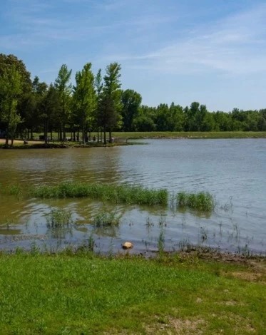 Lake Frierson State Park - Go Wandering