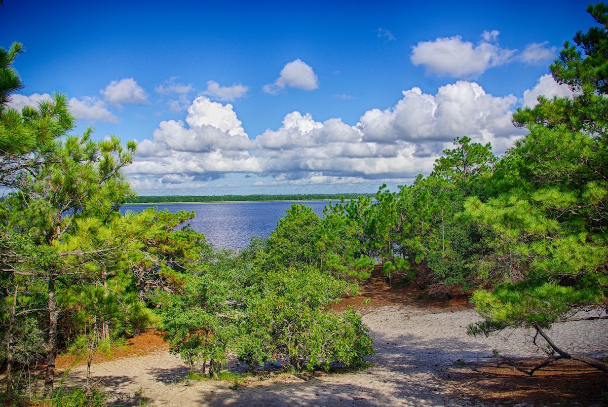 Sun, Sand, And Serenity: Discover The Magic Of Carolina Beach State Park