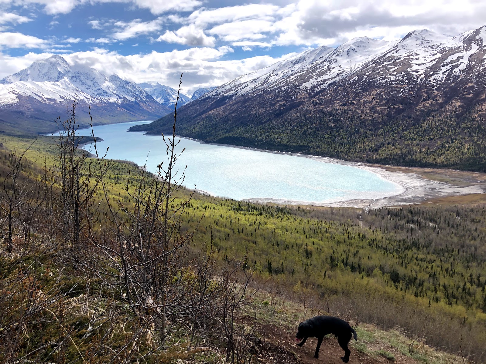 Chugach State Park Go Wandering   4131b1a5 Cb64 4567 8599 F5d57f58b3daplaceExtraImages Image  1 