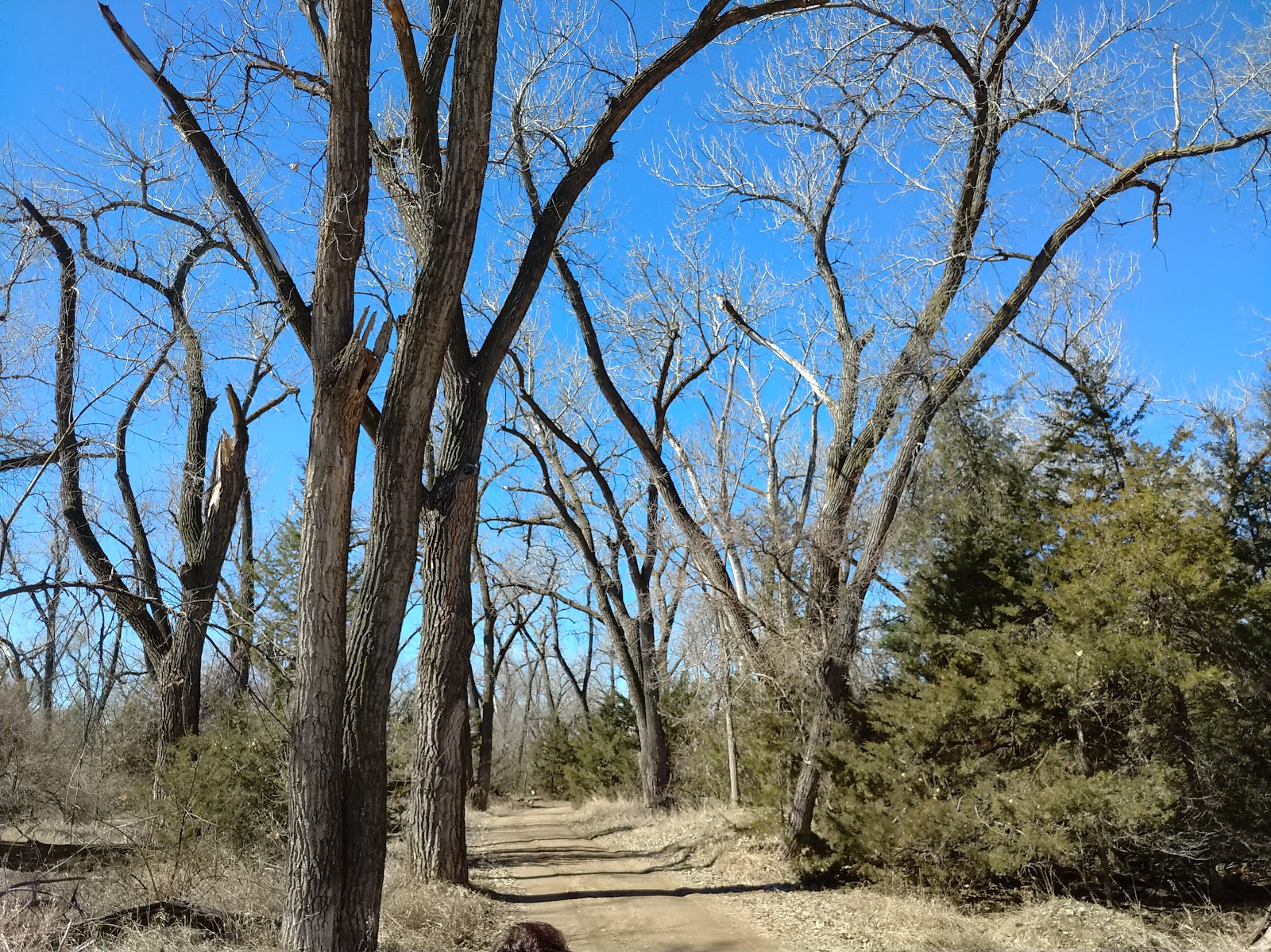 La Framboise Island - Go Wandering