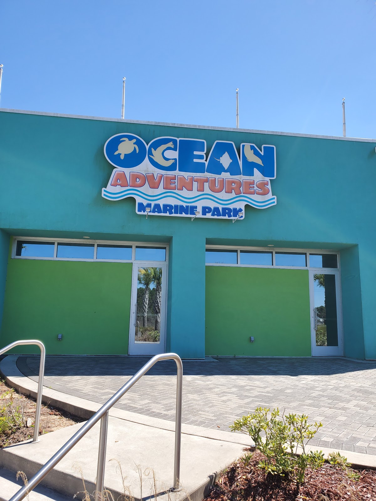 Ocean Adventures Marine Park - Go Wandering