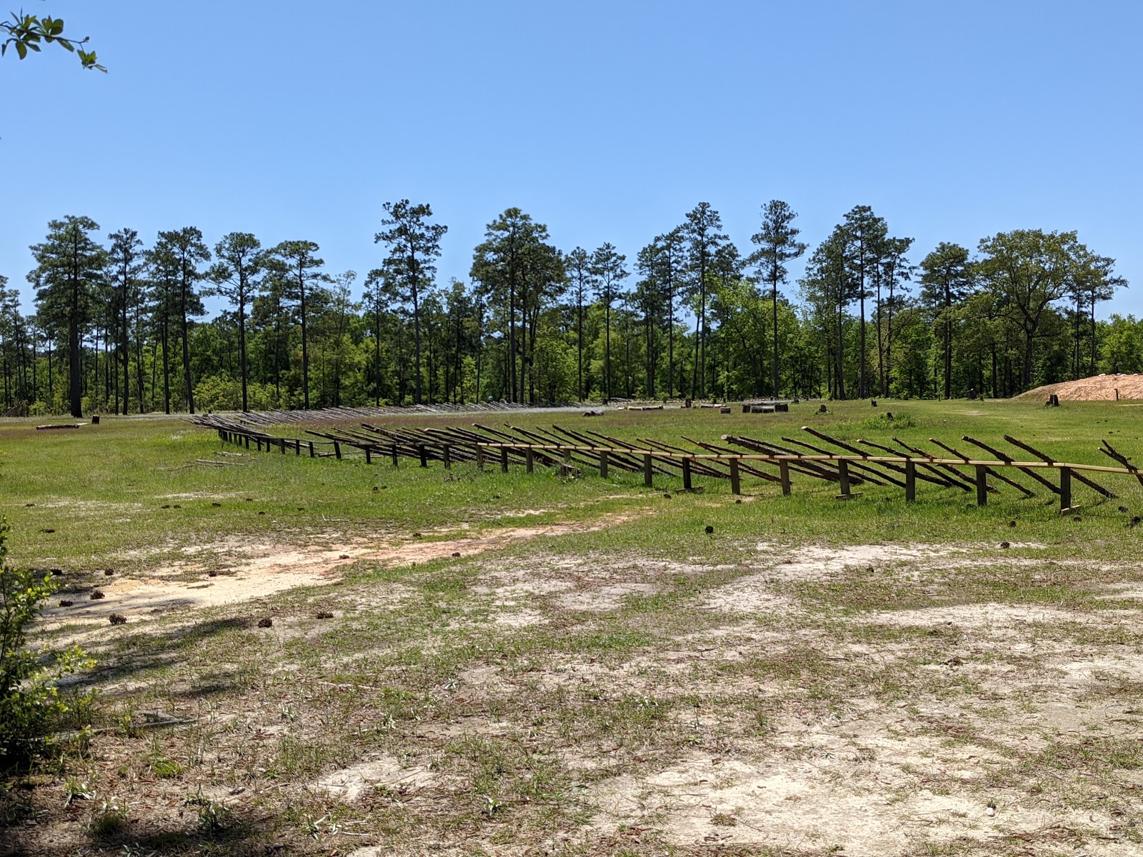 Step Back In Time: Exploring Alabama’s Historic Blakeley State Park