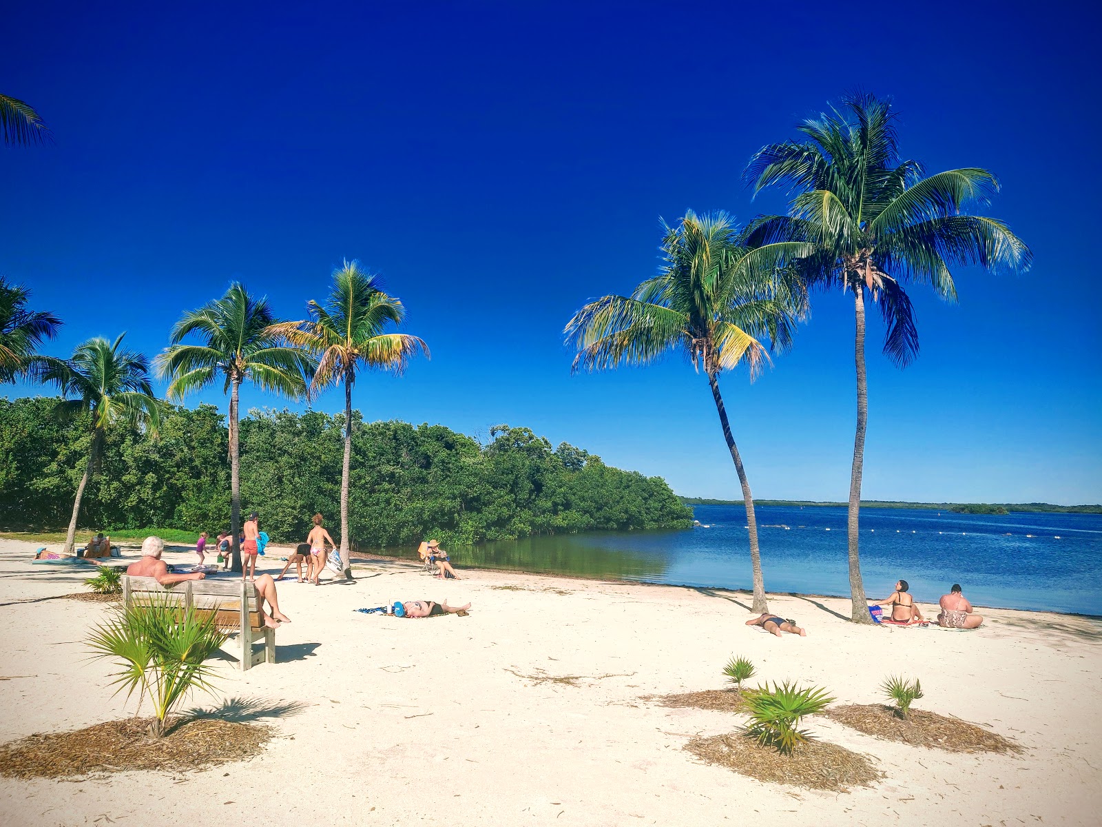 John Pennekamp Coral Reef State Park - Go Wandering