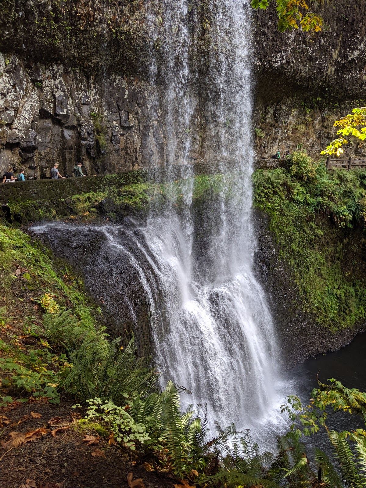 Silver Falls State Park Go Wandering 4928