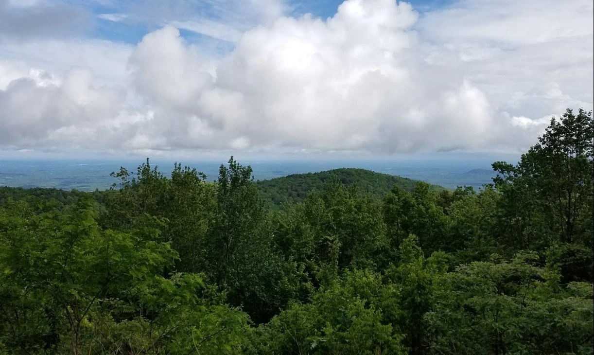 Sumter National Forest Enoree Ranger District Go Wandering