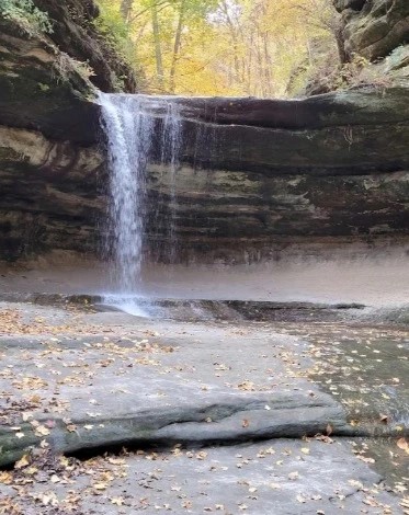 are dogs allowed in starved rock state park