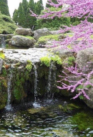 Olbrich Botanical Gardens - Go Wandering