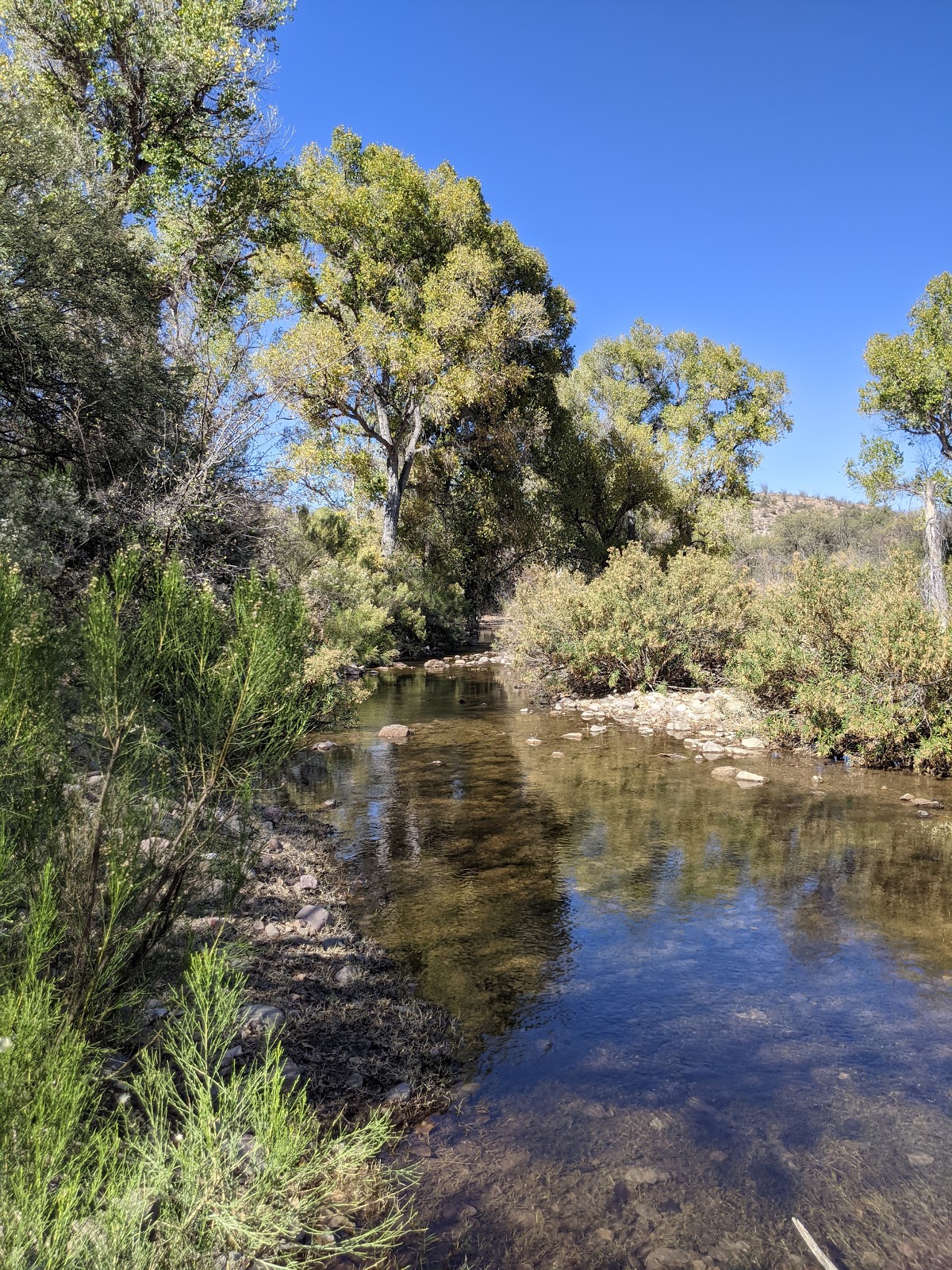 Sonoita Creek State Natural Area - Go Wandering