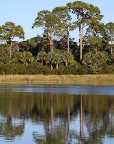 St. Marks National Wildlife Refuge - Go Wandering