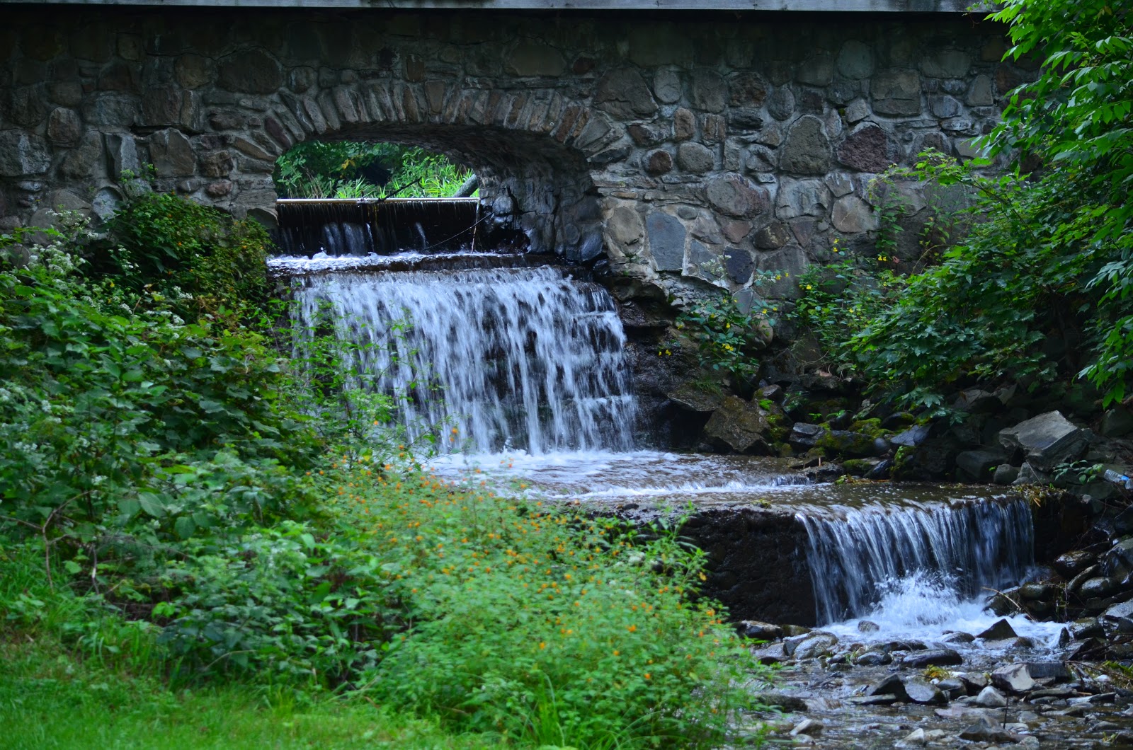 Chenango Valley State Park Go Wandering