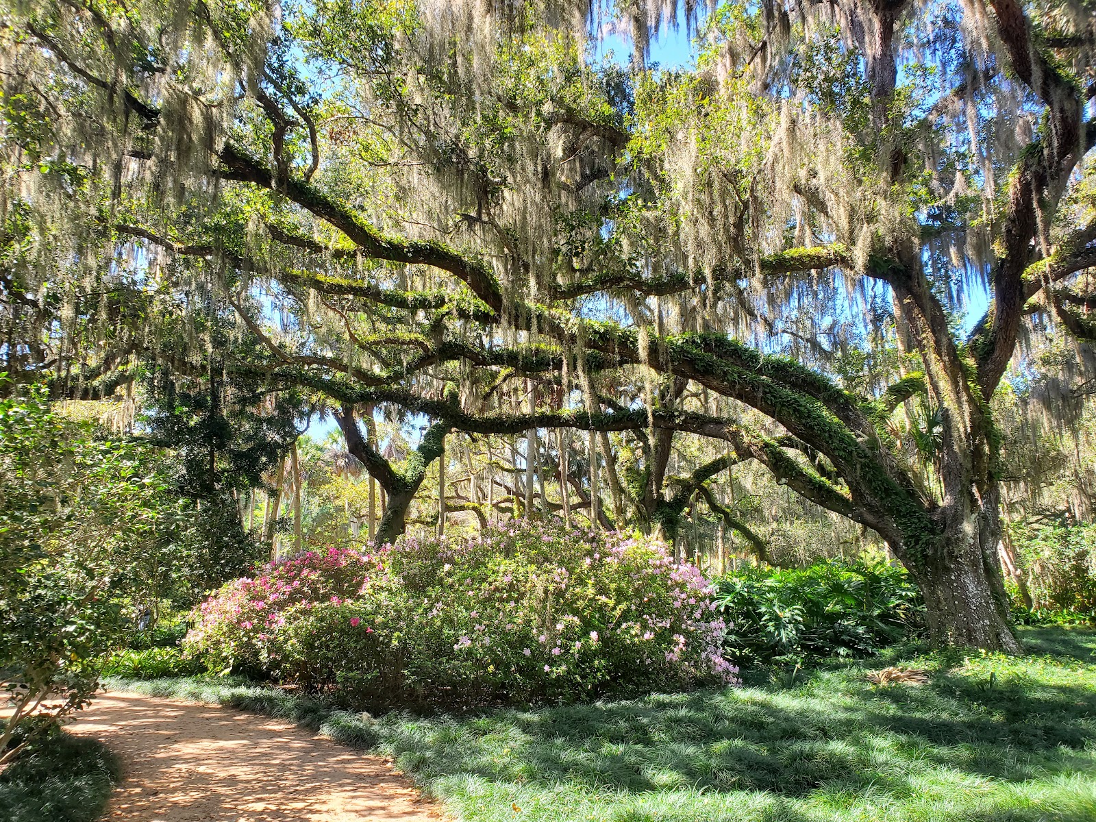 Washington Oaks Gardens State Park - Go Wandering