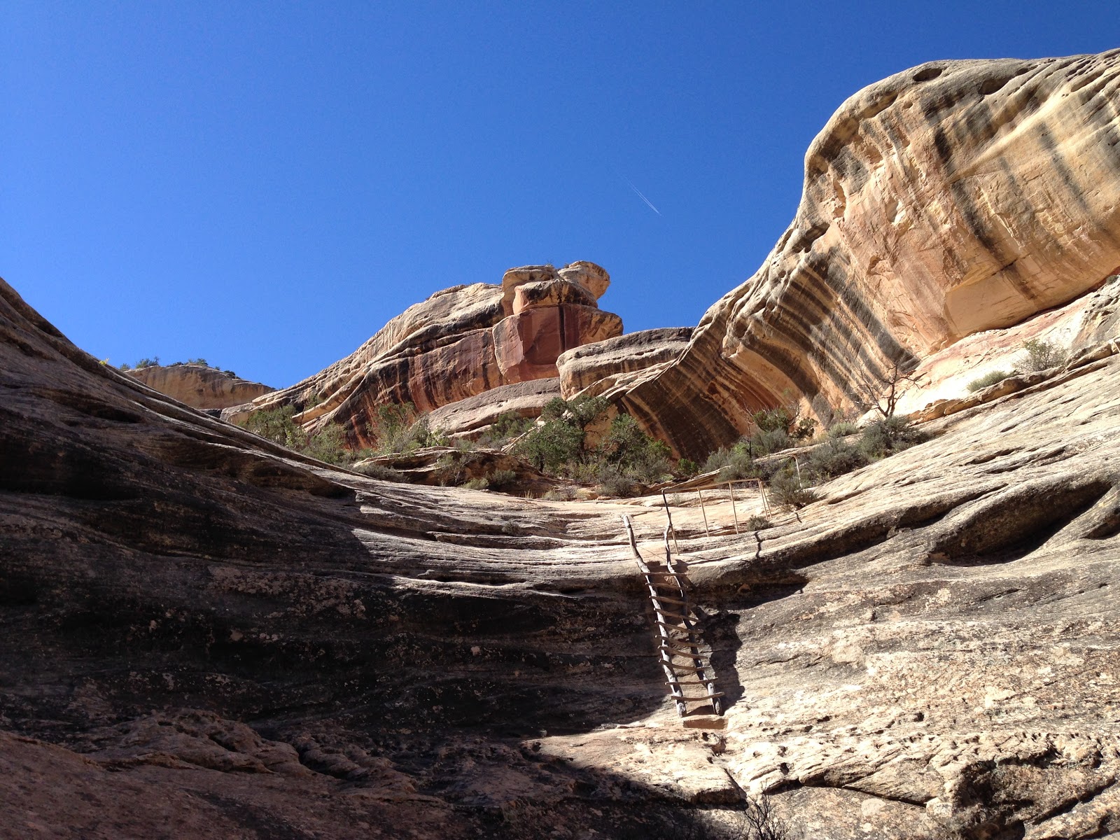 Natural Bridges National Monument Go Wandering   56fa9798 E344 4813 Baef 9450d08b9e9cplaceExtraImages Image  0 