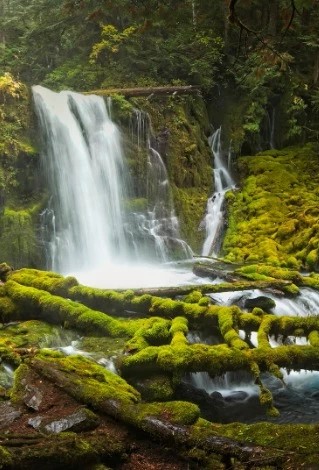 Downing Creek Falls - Go Wandering