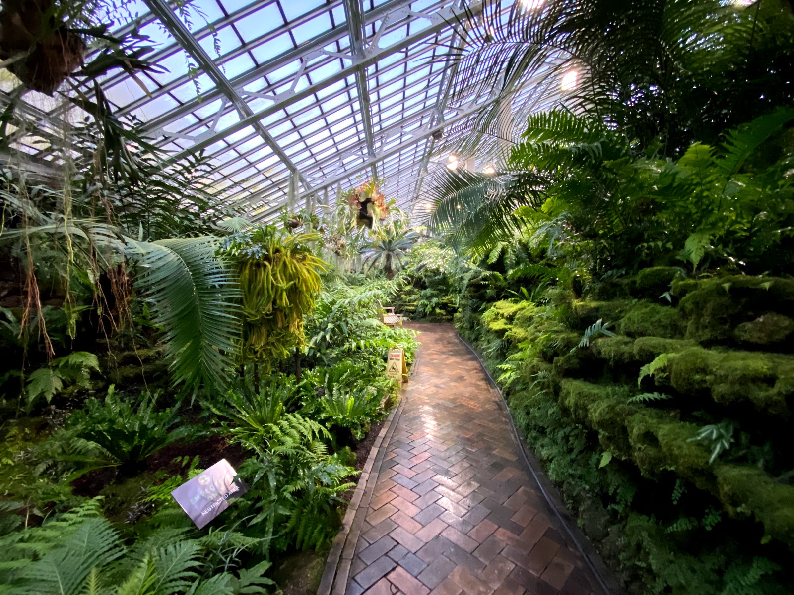 Garfield Park Conservatory - Go Wandering