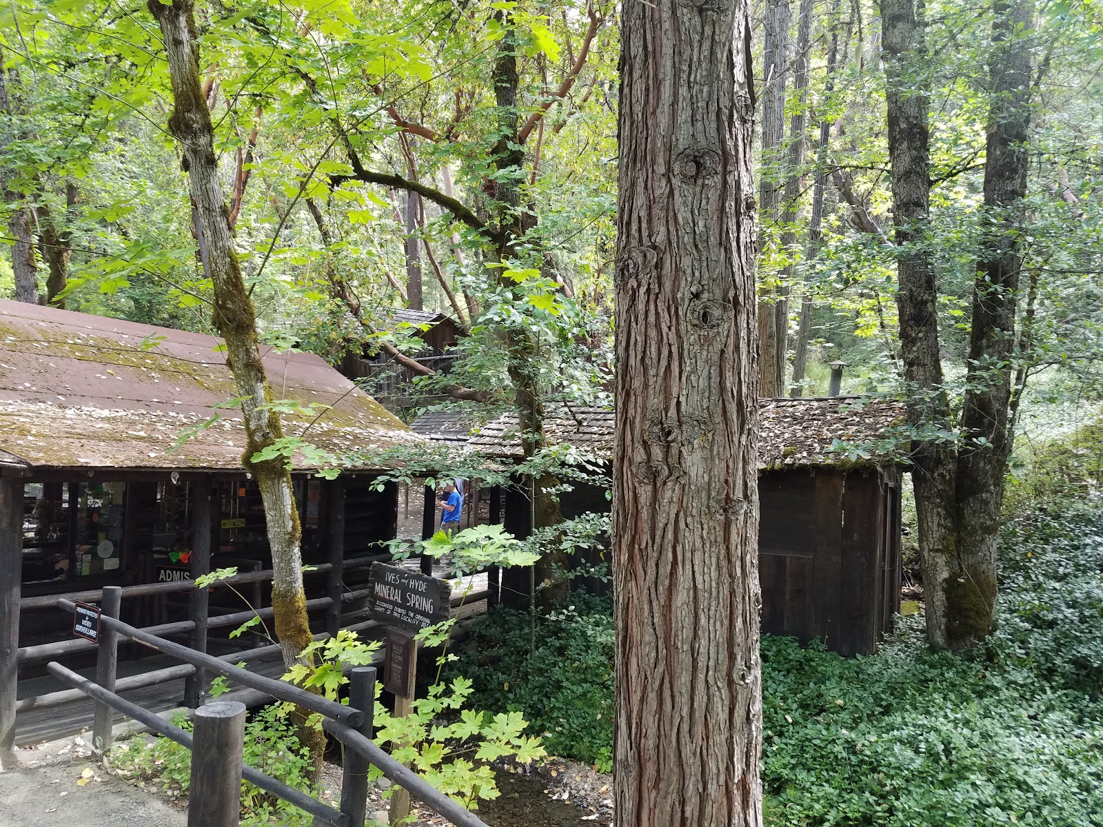 Oregon Vortex - Go Wandering