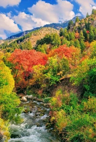 Uinta-Wasatch-Cache National Forest - Go Wandering