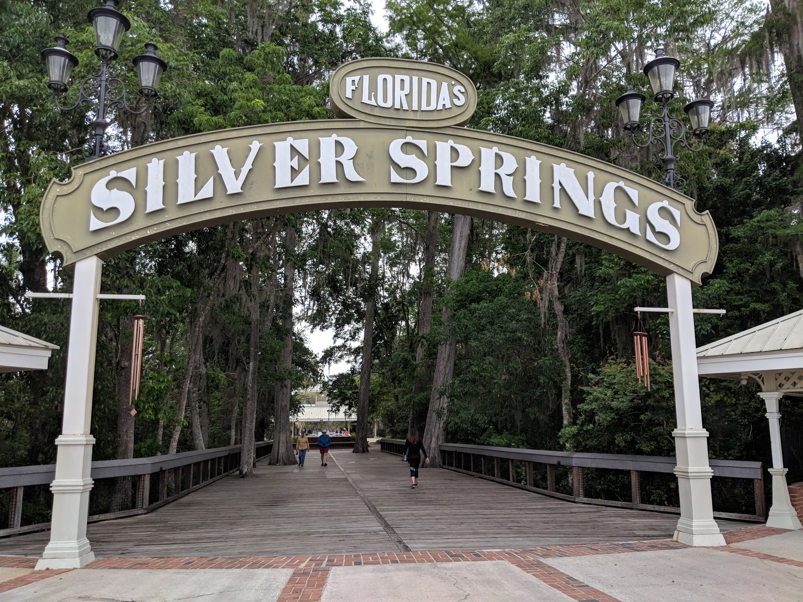 Silver Springs State Park - Go Wandering