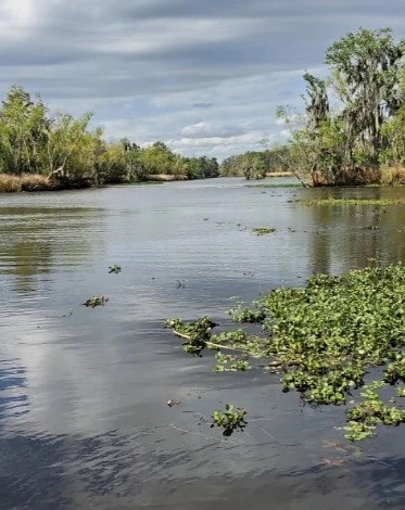 Mandalay National Wildlife Refuge - Go Wandering