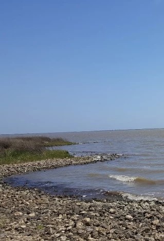 Brazoria National Wildlife Refuge - Go Wandering