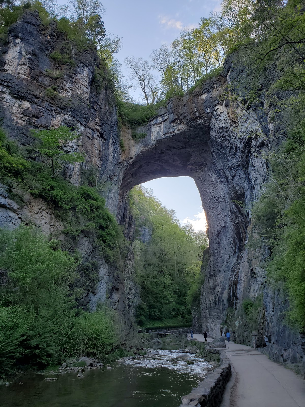 are dogs allowed in natural bridge state park va